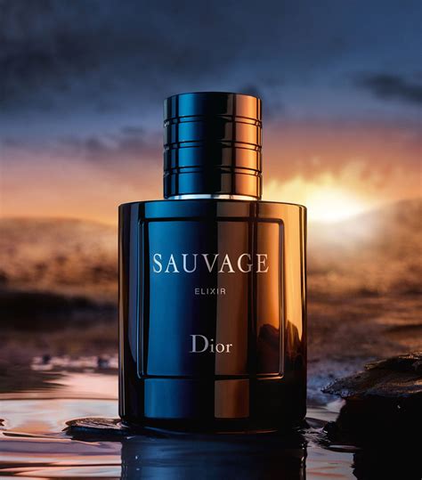 dior sauvage elixir eau de parfum 100ml|dior sauvage 60 ml aanbieding.